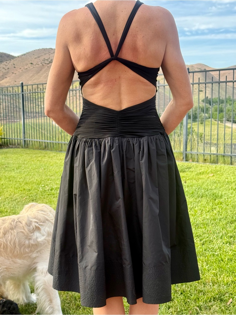 BCBGMaxAzria Black Ruched Bodice Midi Dress with Cross-Back Straps - Picture 11 of 11